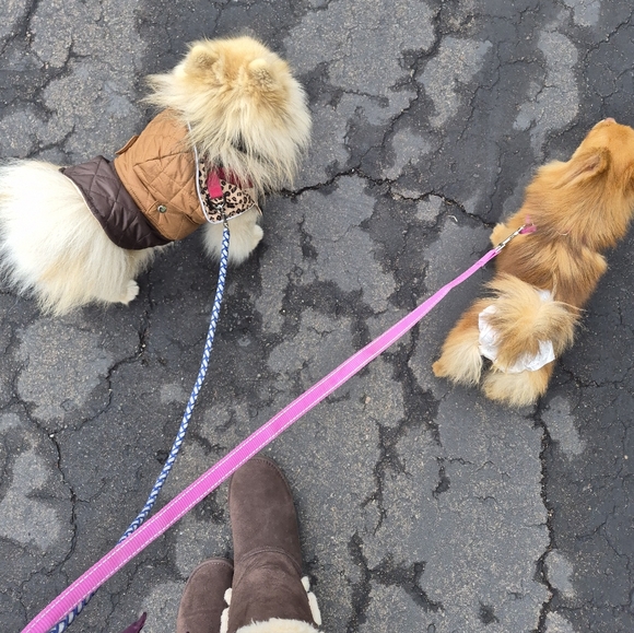 Join now ! - Picture 2 of 3